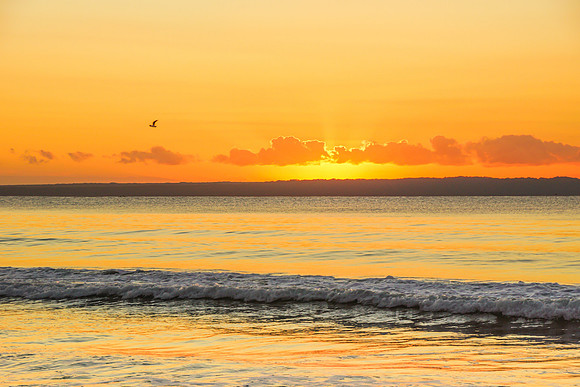 V014 - Golden Glow - Nelson Beach, Vincentia