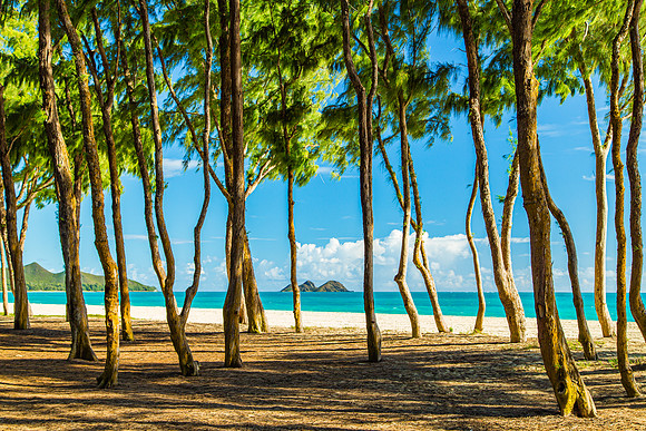 L022 - Waimanalo Beach 4 - Oahu, Hawaii