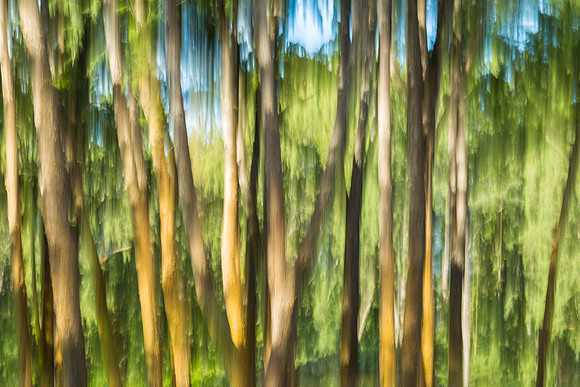 L023 - Motion Blur 1
