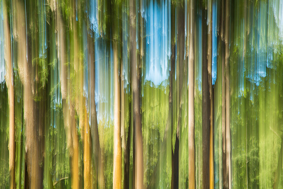 L024 - Motion Blur 2