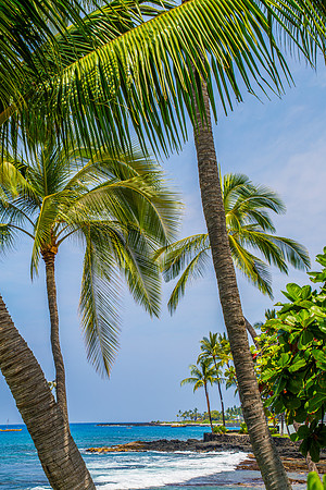 L025 - Kailua Kona, Hawai