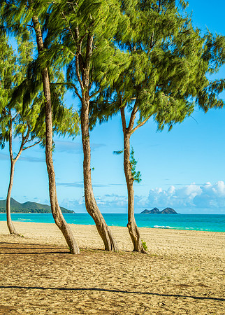 SE003 - Waimanalo Beach 3 - Oahu, Hawaii