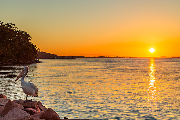 SS001 - Enjoying the Sunset - Nelson Bay, Australia